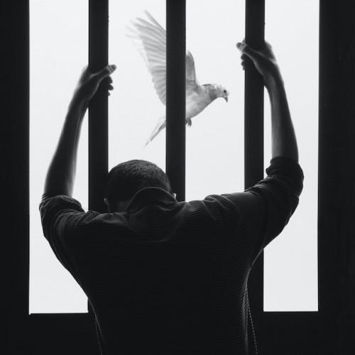 FUNDACIÓN PROYECTO INOCENCIA